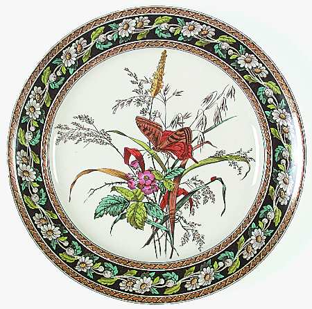 Daisy (Brown-Multicolor) by Spode