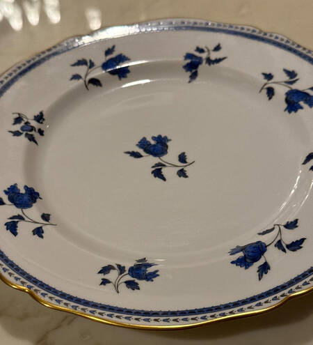 Darlington Blue by Spode