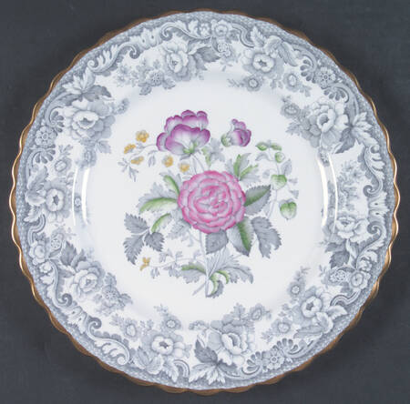 Dove by Spode