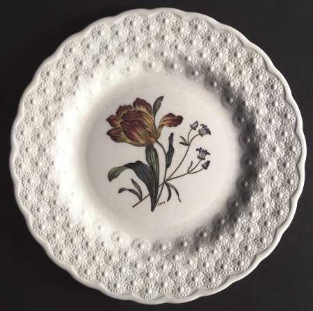 Fernleigh by Spode