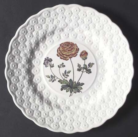 Fernleigh Luncheon Plate