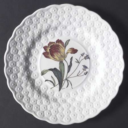 Fernleigh Luncheon Plate
