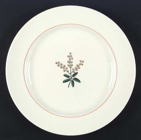 Mimosa by Spode