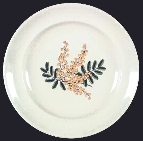 Mimosa by Spode