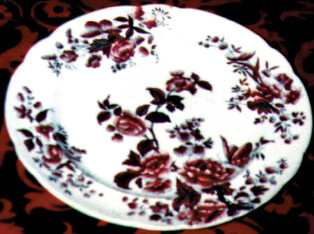 New Fayence by Spode