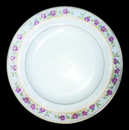 R4884 by Spode
