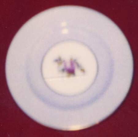R6079 Lavender by Spode