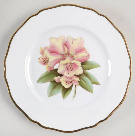 Salad Plate