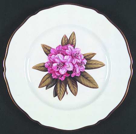 Rhododendron Dinner Plate