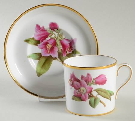 Rhododendron Flat Cup & Saucer Set