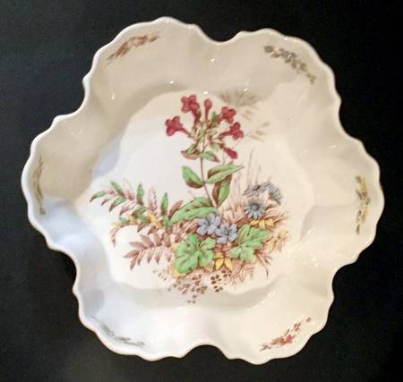 Rosalie 6" Chelsea Shell