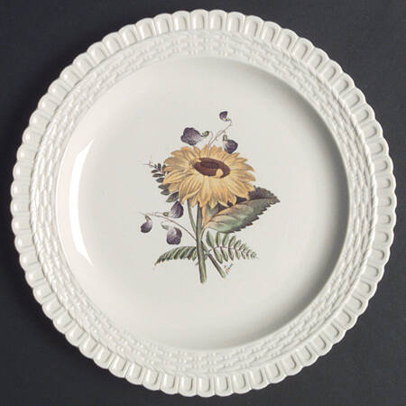 Kibblestone Plants by Spode