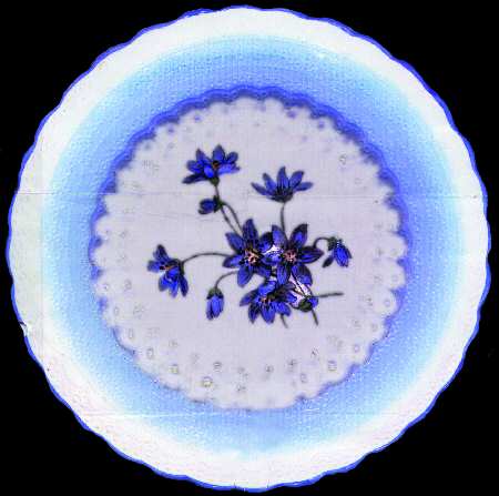 S427 Dinner Plate