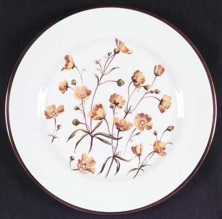 Summer Meadow by Spode
