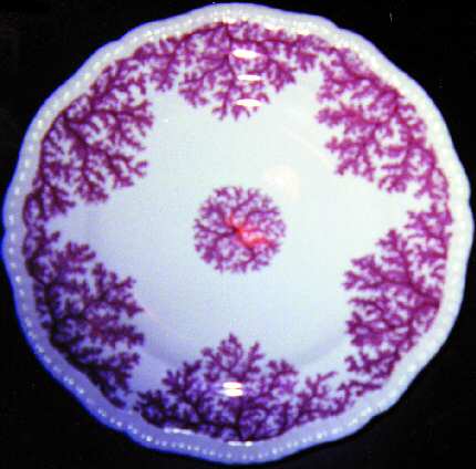 SP18 by Spode