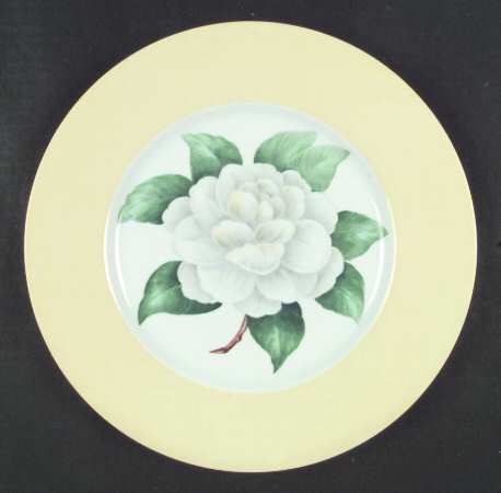 SP28 by Spode