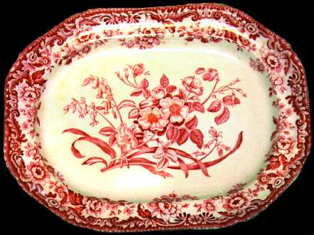 SP39 by Spode
