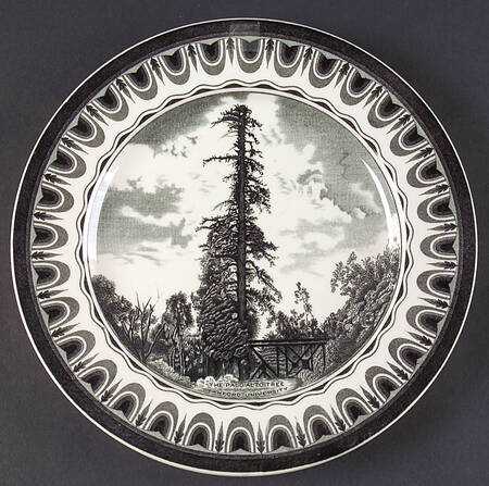 Stanford University Dinner Plate