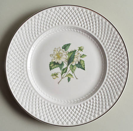 Virginia (Bone, Newer) Accent Luncheon Plate
