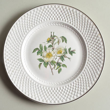 Virginia (Bone, Newer) Accent Luncheon Plate