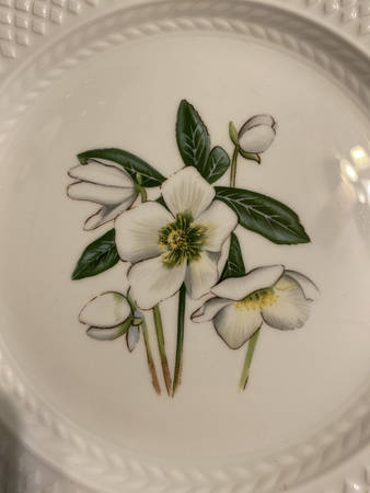 Virginia (Bone, Newer) Accent Luncheon Plate