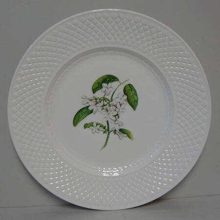 Virginia (Bone, Newer) Accent Luncheon Plate