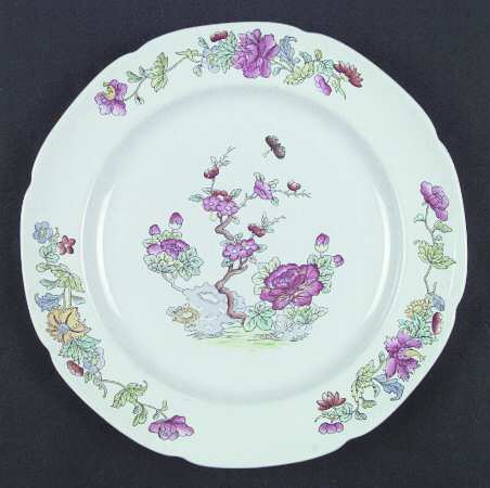 Willis (Y2684) by Spode