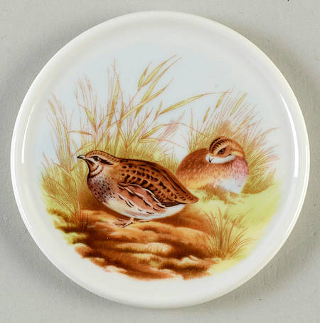 Woodland Coaster