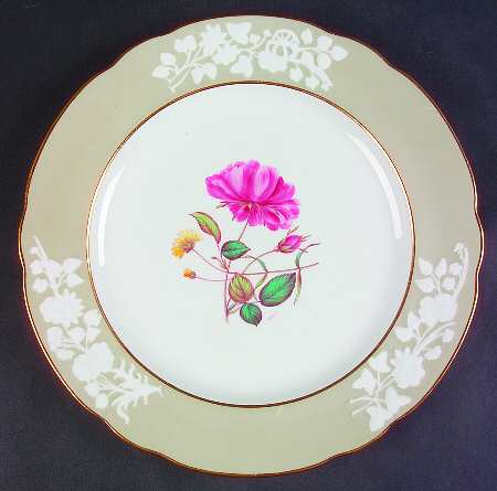 Y2855 Dinner Plate