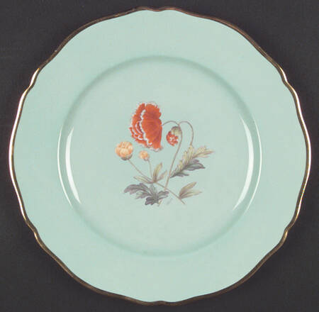 Y4593 Dinner Plate