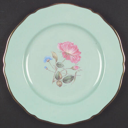 Y4593 Dinner Plate