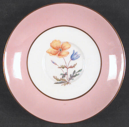 Y4625 Saucer