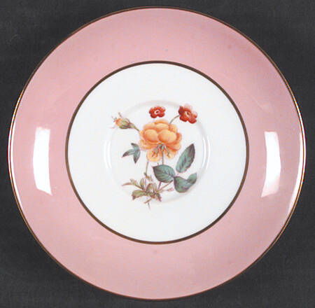 Y4625 Saucer