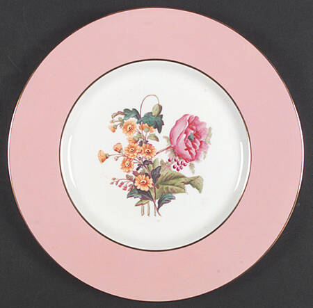 Y4625 Dinner Plate