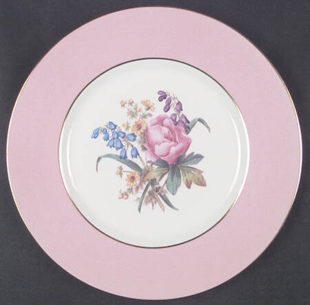 Y4625 Dinner Plate