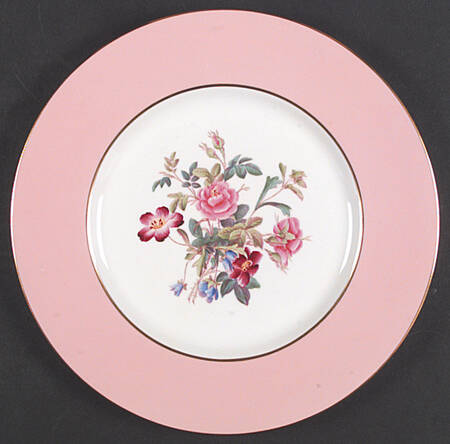 Y4625 Dinner Plate