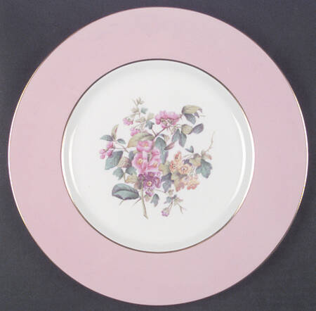 Y4625 Dinner Plate
