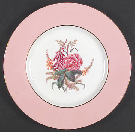 Y4625 Dinner Plate