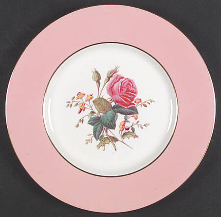 Y4625 Dinner Plate