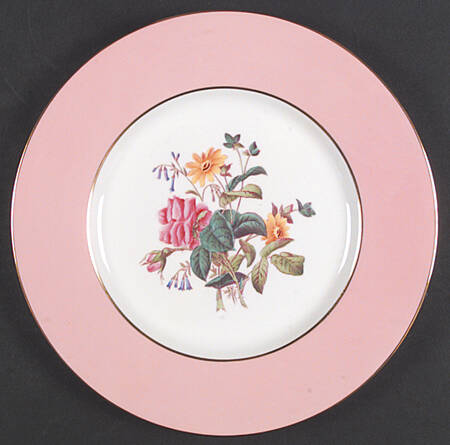Y4625 Dinner Plate