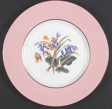 Y4625 Dinner Plate