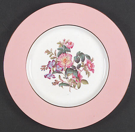 Y4625 Dinner Plate
