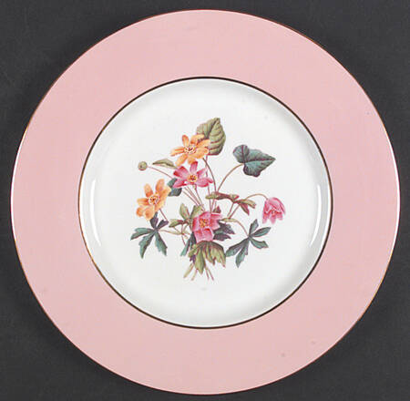 Y4625 Dinner Plate