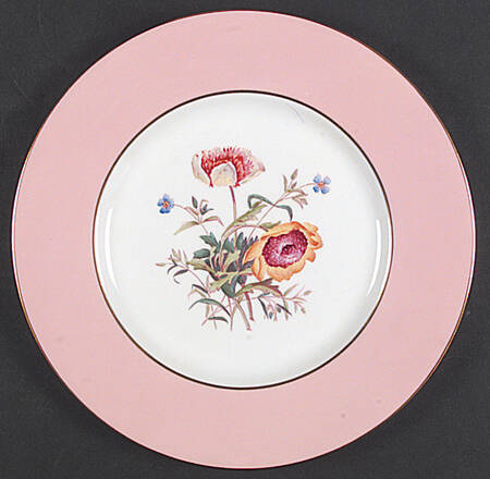 Y4625 by Spode