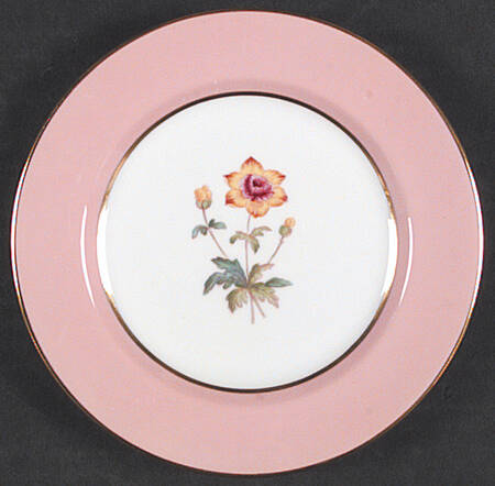 Y4625 Bread & Butter Plate