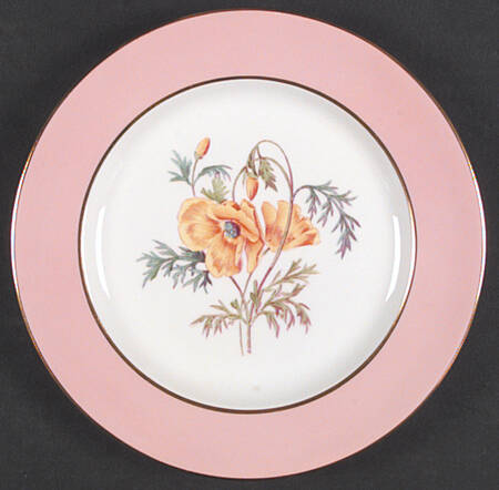 Y4625 Salad Plate