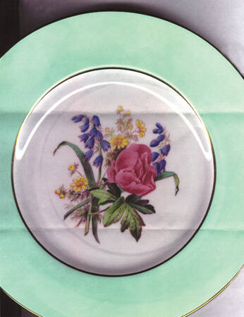 Y4626 by Spode