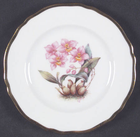 Y5552 (Scalloped) Bread & Butter Plate