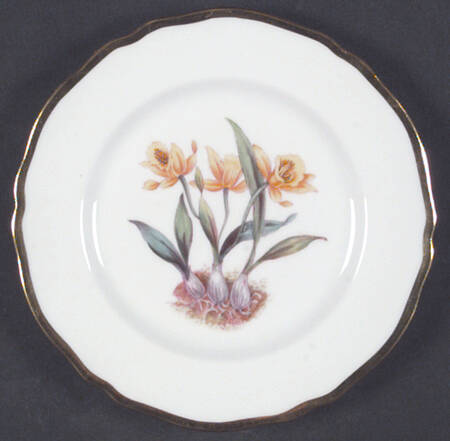 Y5552 (Scalloped) Bread & Butter Plate