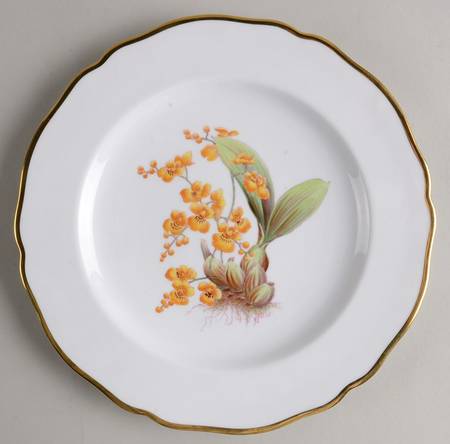 Y5552 (Scalloped) Luncheon Plate